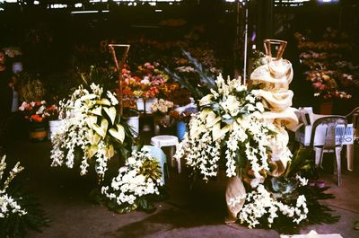 Close-up of flowers in store