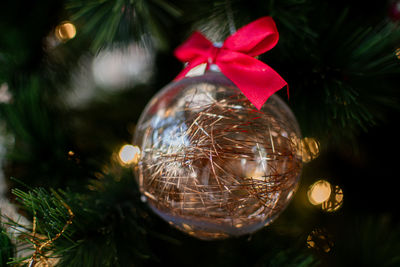 Close-up of christmas tree