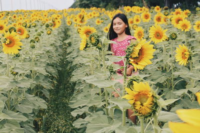 Girl standing amidst sunflowers on land