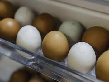 High angle view of eggs in container