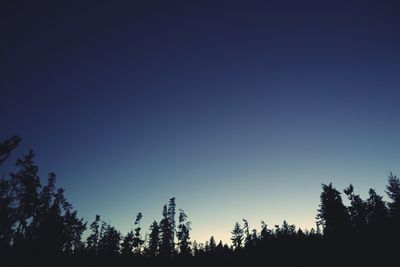 Low angle view of silhouette trees against clear sky