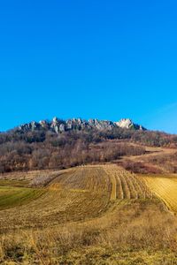 Scenic view of field against clear blue sky