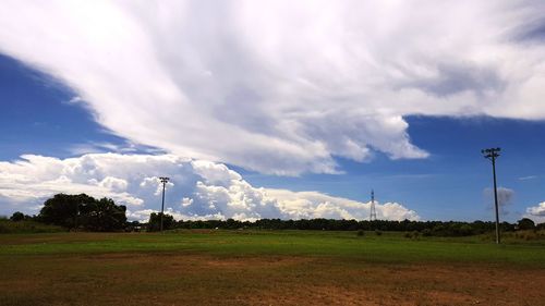 Low angle view of trees against sky