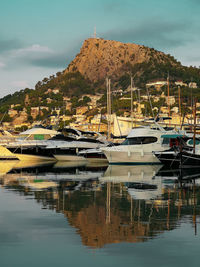 Sailboats moored at harbor