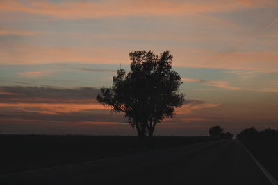 Silhouette tree by road against sky during sunset