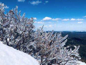 Snow covered land against sky