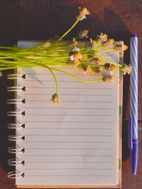 Close-up of open book on table