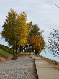 Road by trees against sky during autumn