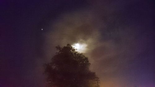 Low angle view of trees against sky