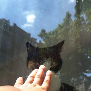 Close-up of hand against sky