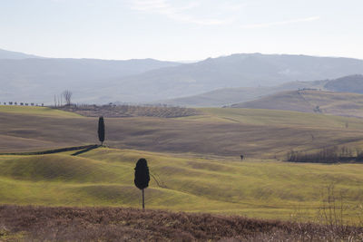 Scenic view of field and mountains against sky