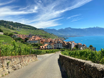 Walk trough the grapevines