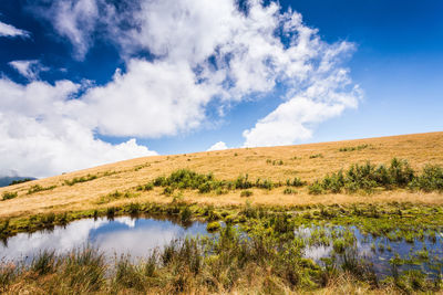 Scenic view of field against sky