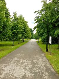 Road amidst trees against sky