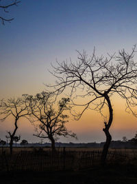 Silhouette bare tree on field against sky during sunset