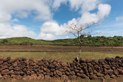 Scenic view of land against sky