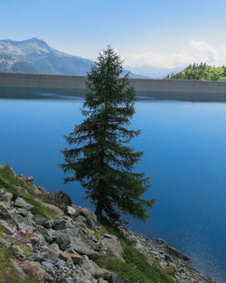 Scenic view of lake by mountains against sky