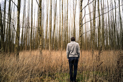 Rear view of man standing in forest