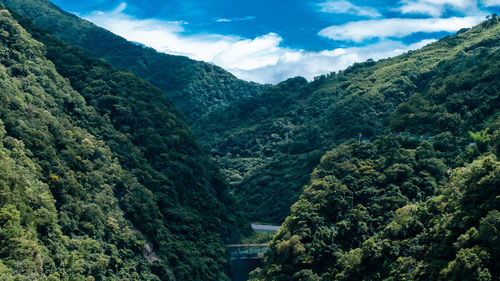 mountain