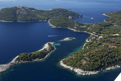 High angle view of sea and trees