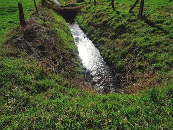 High angle view of waterfall amidst trees in forest