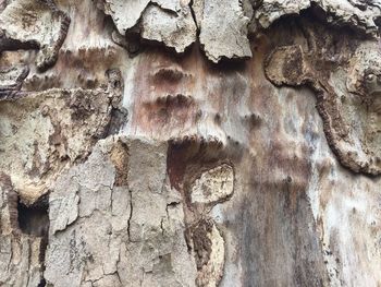 Full frame shot of weathered wall