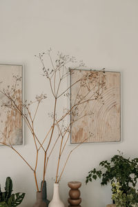 Potted plant against wall