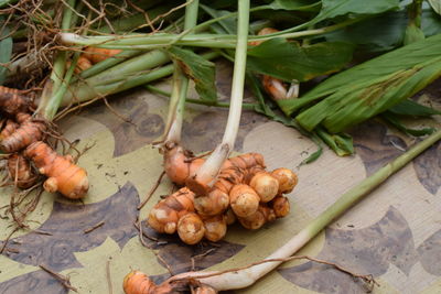 High angle view of vegetables on table