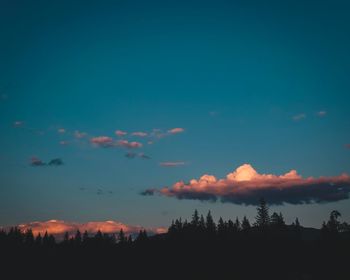Silhouette trees against sky during sunset