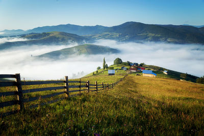 Scenic view of field against sky