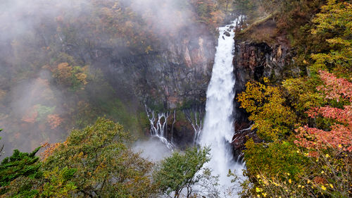 Scenic view of waterfall in forest