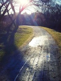 View of empty road along trees