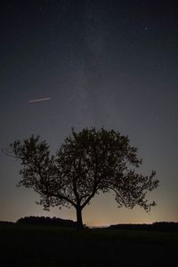 Silhouette tree on field against sky at night
