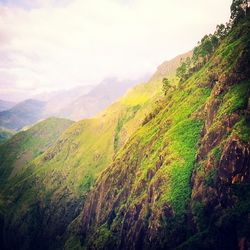 Scenic view of mountains