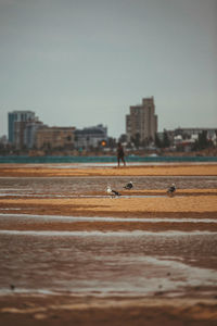 People on beach against buildings in city