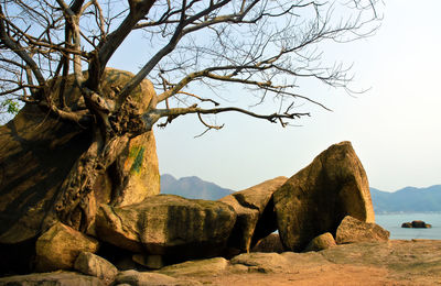 Rock formation by tree against sky