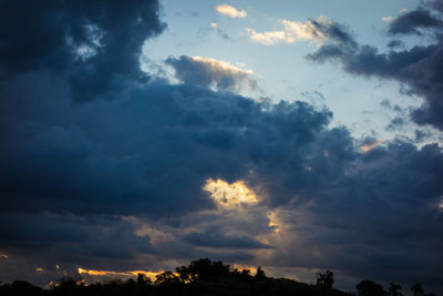 Low angle view of silhouette trees against sky during sunset