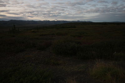 Scenic view of field against sky during sunset