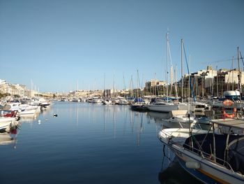 Sailboats moored in harbor