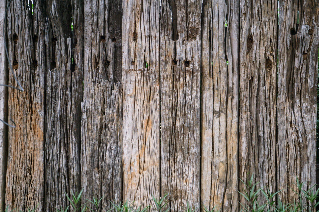 FULL FRAME SHOT OF WOODEN TREE TRUNK