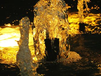 Close-up of illuminated by sea at night