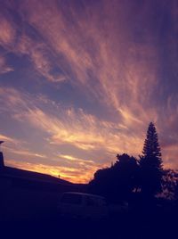 Trees against sky during sunset