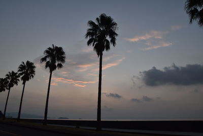 Silhouette palm trees against sky at sunset