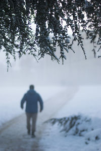 Rear view of man walking on snow covered land