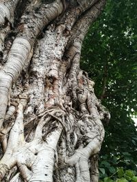 Low angle view of animal sculpture on tree trunk