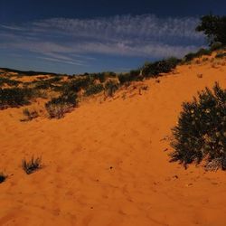 Scenic view of desert against sky