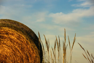 Hay bales on field against sky