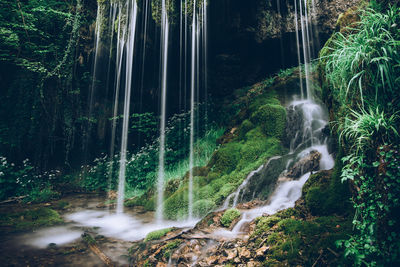 Waterfall in forest