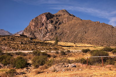 Beautiful landscape of colca canyon in peru