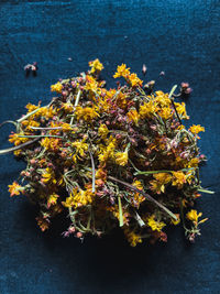 High angle view of yellow flowering plants